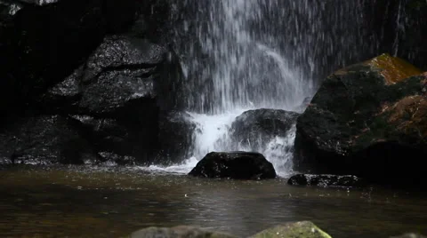 Tropical waterfall close 스톡 동영상 57645079