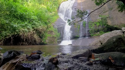 Tropical Waterfall Falling into Pool Surrounded by Green Forest Stock Footage 313149802