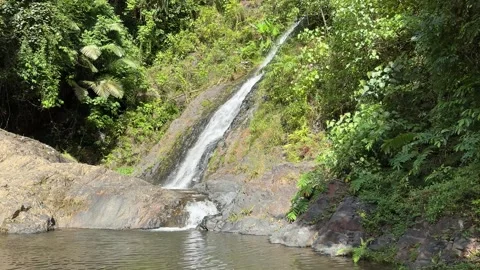 Tropical Waterfall Flowing into Pool Stock Footage 277610170