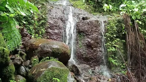 Tropical Waterfall Flowing Through Green Forest – Relaxing Nature Video Stock Footage 329778916