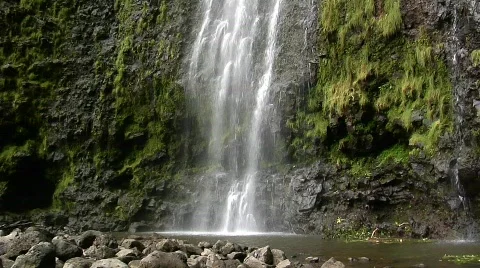 Tropical waterfall Stock Footage 133845
