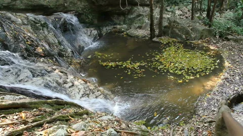 Tropical waterfall Stock-Footage 664291