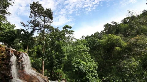 Tropical waterfall Stock Footage 5502921