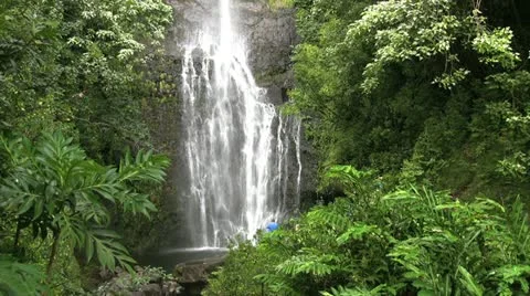 Tropical Waterfall Vídeos de archivo 12580324