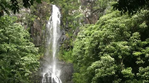 Tropical Waterfall Vídeos de archivo 12581050