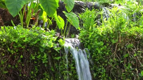 Tropical waterfall Stock-Footage 22421220