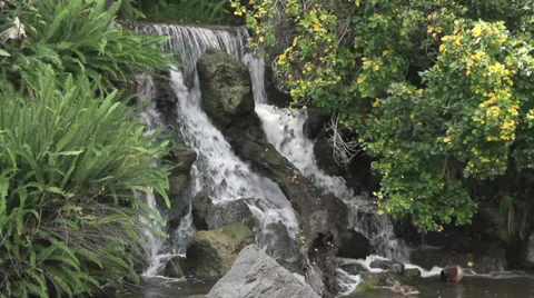 Tropical Waterfall Stock Footage 37164540