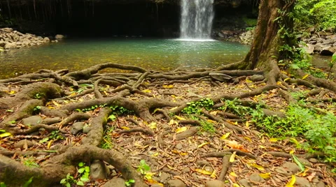 Tropical Waterfall Stock Footage 52982083