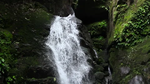 Tropical waterfall Stock Footage 57649634