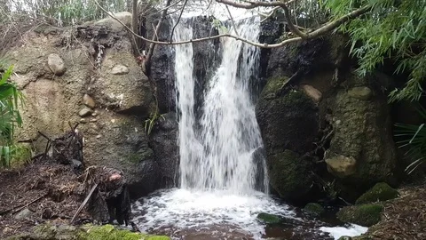 Tropical Waterfall Vidéo 84779226