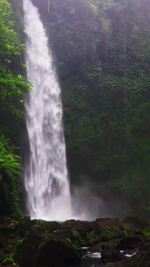 Tropical waterfall Stock Footage 295912634