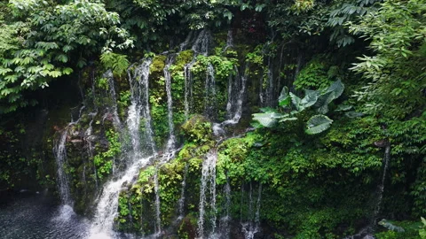 Tropical waterfall with natural pool and lush plant. Banyu Wana Amertha Waterfal 動画素材 340520189