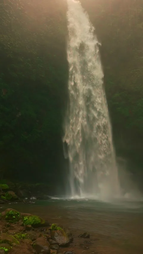 Tropical waterfall on nature background Stock Footage 292939634