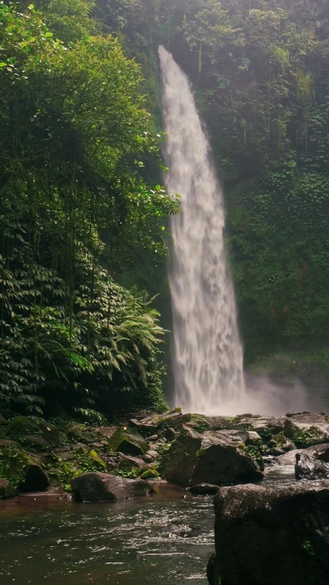 Tropical waterfall on nature background Stock Footage 292939990