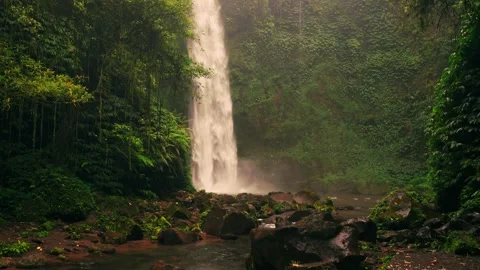 Tropical waterfall on nature background Stock Footage 295903935
