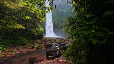 Tropical waterfall on nature background Stock Footage 295903948