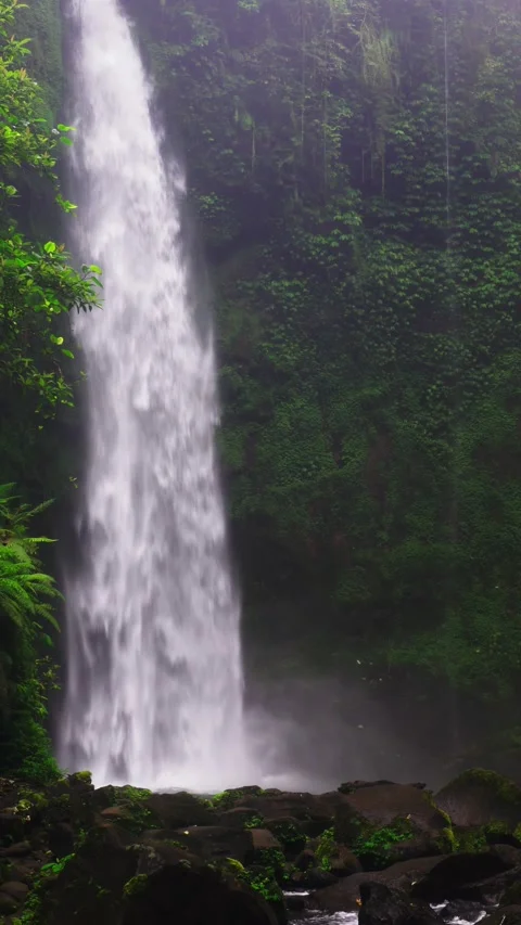 Tropical waterfall on nature background Stock Footage 295912592