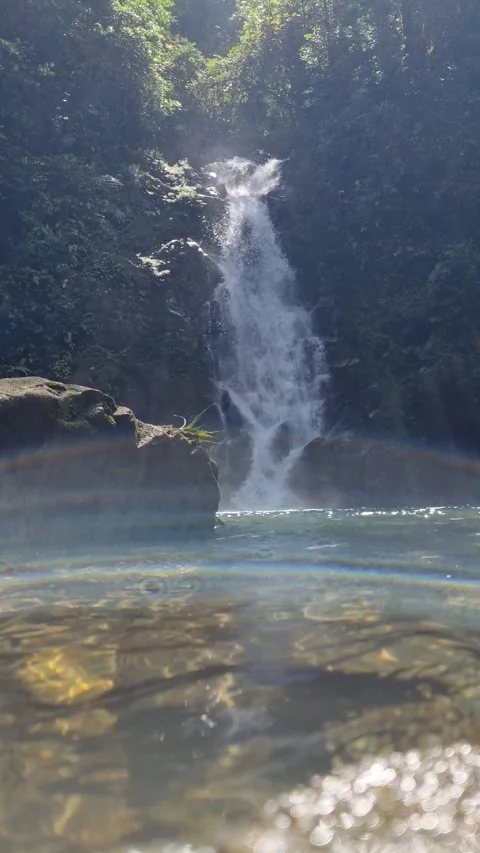 Tropical Waterfall with Over-Under View and Rainbow Light Refraction in Jungle Stock Footage 345100647