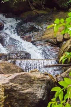 Tropical Waterfall Stock Photos
