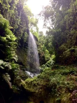 Tropical Waterfall Stock Photos