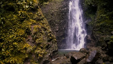 Tropical Waterfall Slow Motion Stock Footage 70371906