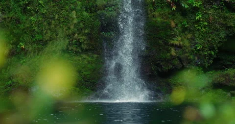Tropical Waterfall Slow Motion Stock Footage 251646958