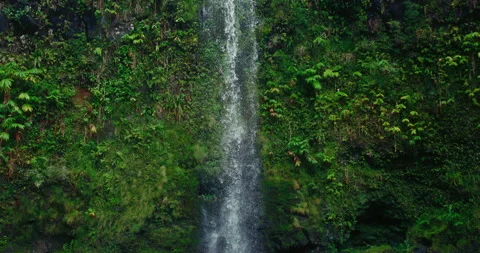 Tropical Waterfall Slow Motion Stock Footage 251651449