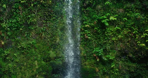 Tropical Waterfall Slow Motion Stock Footage 251653174