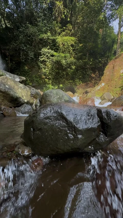 Tropical Waterfall Stream Flowing Over Rocks in Lush Green Forest Vertical Stock Footage 321104630