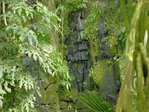 Tropical waterfall in the tropical rainforest. Falling running water on rock. Vidéo 80788294