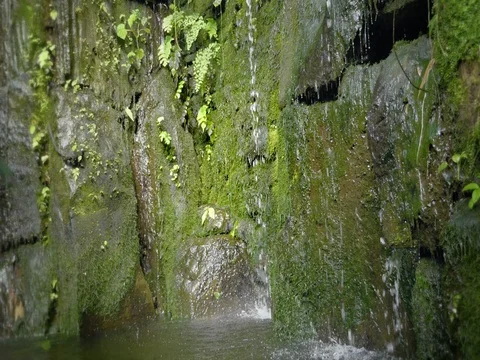 Tropical waterfall in the tropical rainforest. Falling running water on rock. Vidéo 80863390
