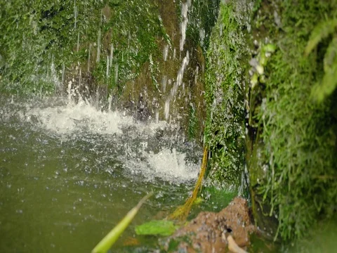 Tropical waterfall in the tropical rainforest. Falling running water on rock. 스톡 동영상 80988347