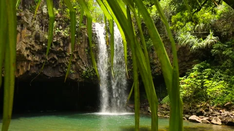 Tropical Waterfall View Stock Footage 52991998