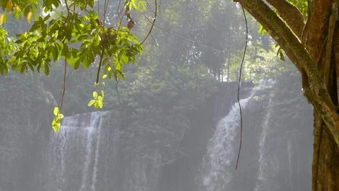 Tropical Waterfall View Stock Footage 104833145