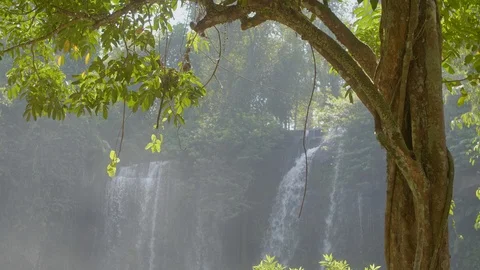Tropical Waterfall View Stock Footage 105066043