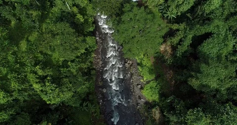 Tropical Waterfall.mp4 Stock Footage 116773276