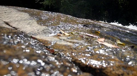 Tropical Waterfalls Cascade in the Forest. Slow Motion Vidéo 49110167