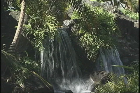 Tropical Waterfalls Stock Footage 829599