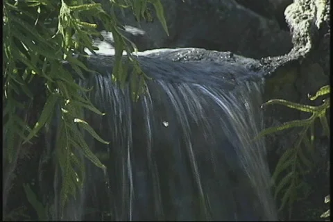 Tropical Waterfalls Stock Footage 829893