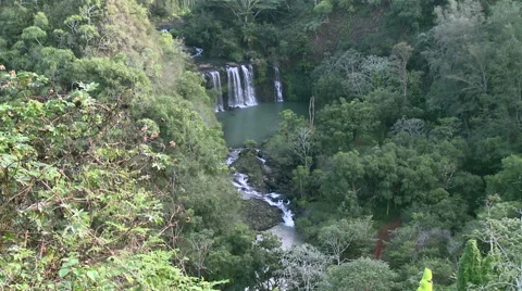 Tropical Waterfalls Stock Footage 54709208