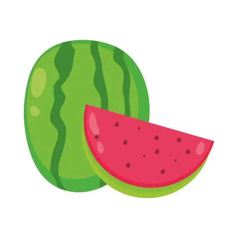 Tropical watermelon fruit Stock Illustration