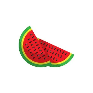 Tropical Watermelon 库存插图