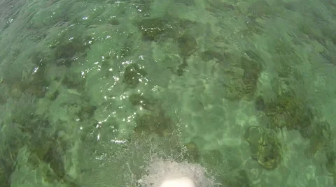 Tropical Waters 2 库存影片 52296867