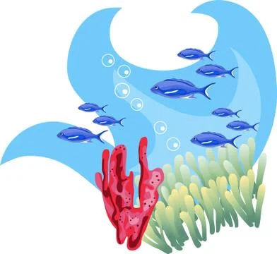Tropical Waters Stock Illustration
