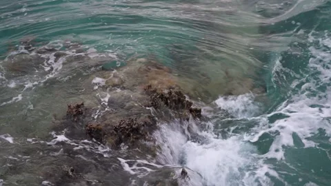 Tropical Waves Breaking Over Exposed Coral Stock Footage 305957869