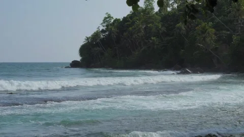 Tropical Waves Rolling Past a Forested Rocky Headland in Mirissa, Sri Lanka Stock Footage 342322115