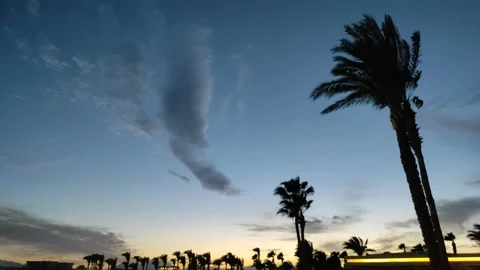 Tropical weather 動画素材 151286573