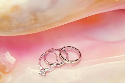 Tropical wedding. Rings on the shell. Stock Photos