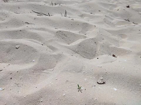 Tropical White Beach Sand Texture Bahia de las Aguilas 스톡 사진