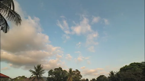 Tropical white clouds, blue sky and palm trees. Time lapse. Stock Footage 332533110